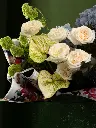Bliss-1466.webp