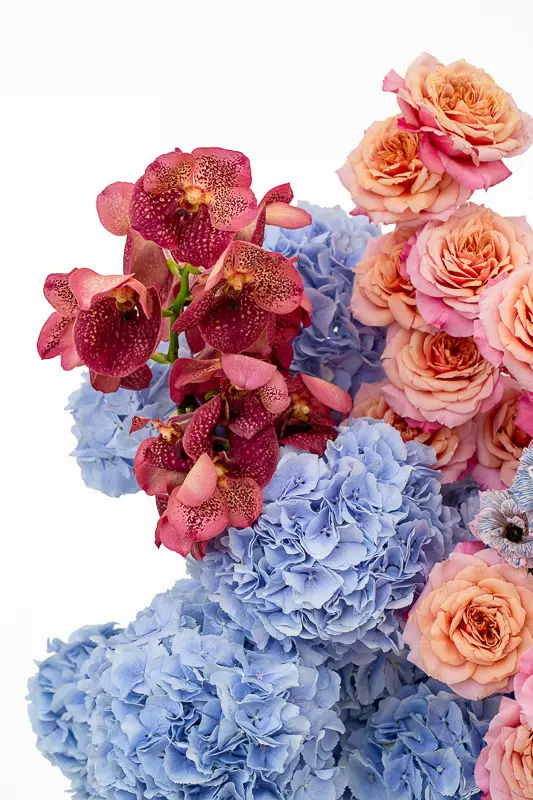 2023-06-12_BLISS_04-4.webp