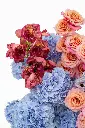 2023-06-12_BLISS_04-4.webp