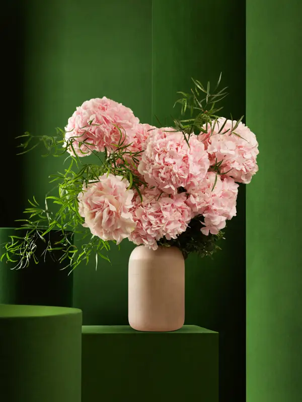 Bliss-1180.webp