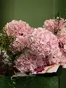 Bliss-908.webp