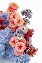 2023-06-12_BLISS_04-3.webp