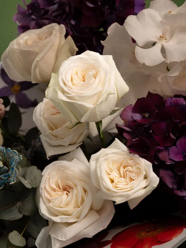 Bliss-1133.webp