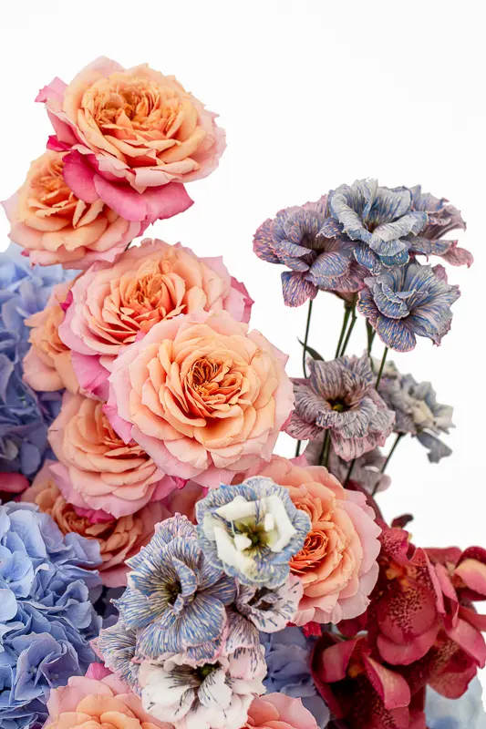 2023-06-12_BLISS_04-5.webp