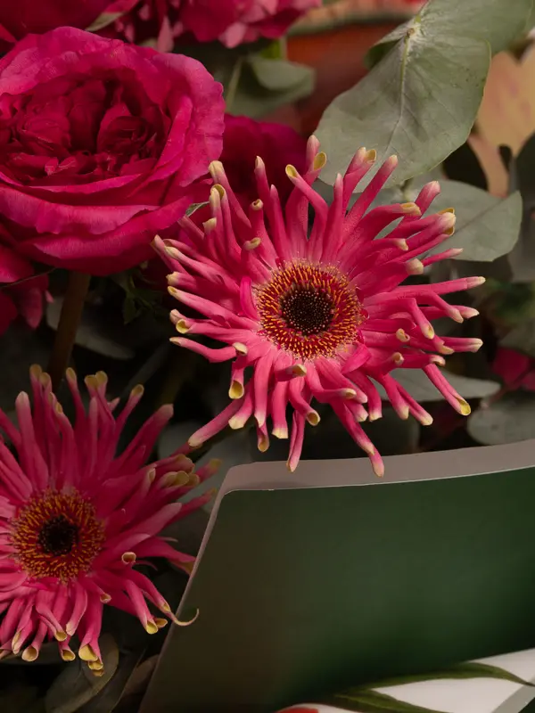 Bliss-1145.webp