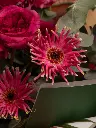 Bliss-1145.webp