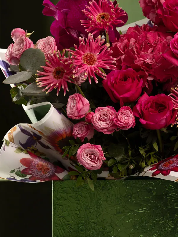 Bliss-1147.webp