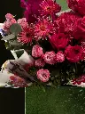 Bliss-1147.webp