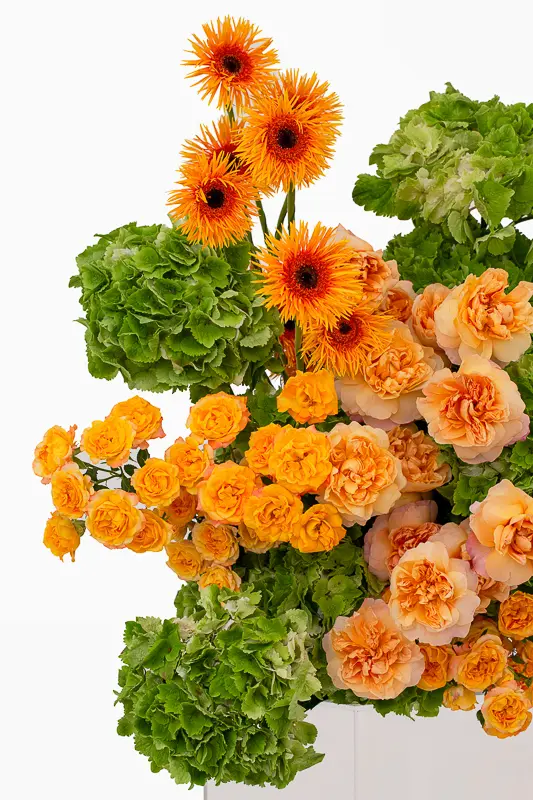2023-06-12_BLISS_03-3.webp