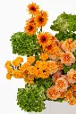 2023-06-12_BLISS_03-3.webp