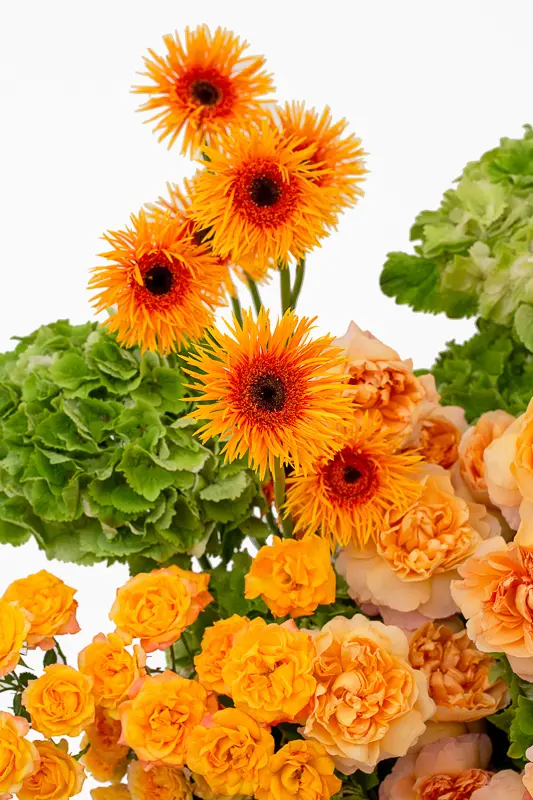 2023-06-12_BLISS_03-4.webp