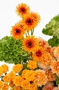 2023-06-12_BLISS_03-4.webp