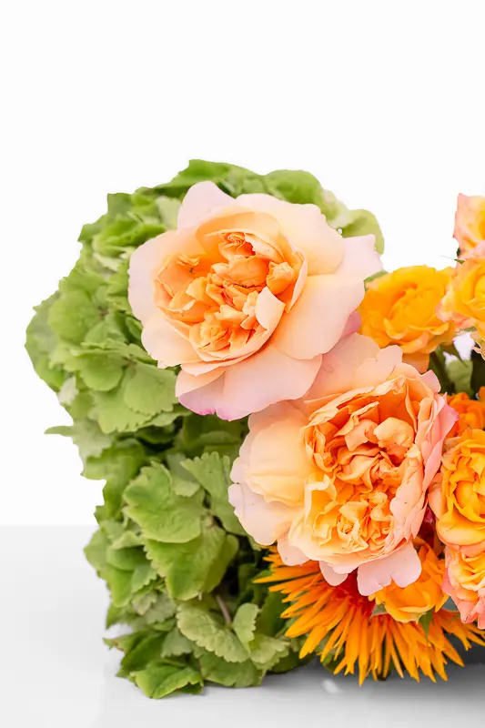 2023-06-12_BLISS_03-12.webp