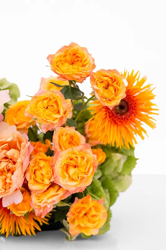 2023-06-12_BLISS_03-11.webp