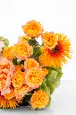 2023-06-12_BLISS_03-11.webp