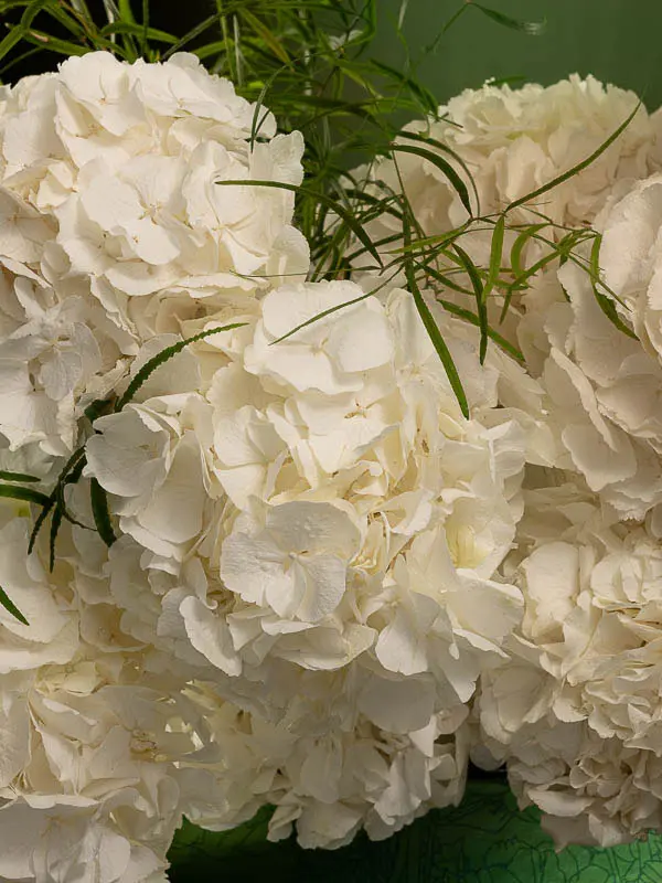 Bliss-1769.webp