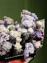 Bliss-3179.webp