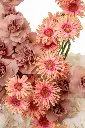 2023-06-12_BLISS_05-5.webp