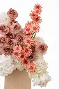 2023-06-12_BLISS_05-3.webp