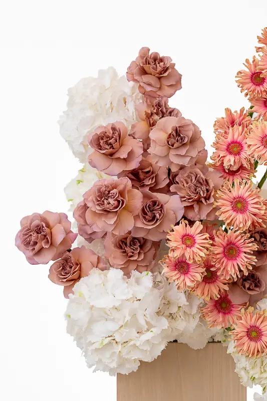 2023-06-12_BLISS_05-4.webp