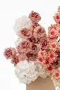 2023-06-12_BLISS_05-4.webp