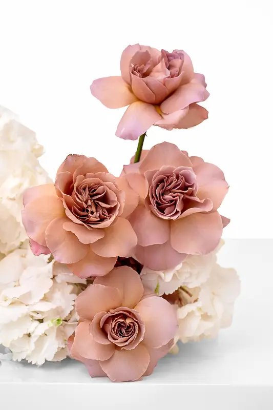 2023-06-12_BLISS_05-12.webp