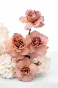 2023-06-12_BLISS_05-12.webp