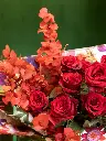 bliss-104.webp