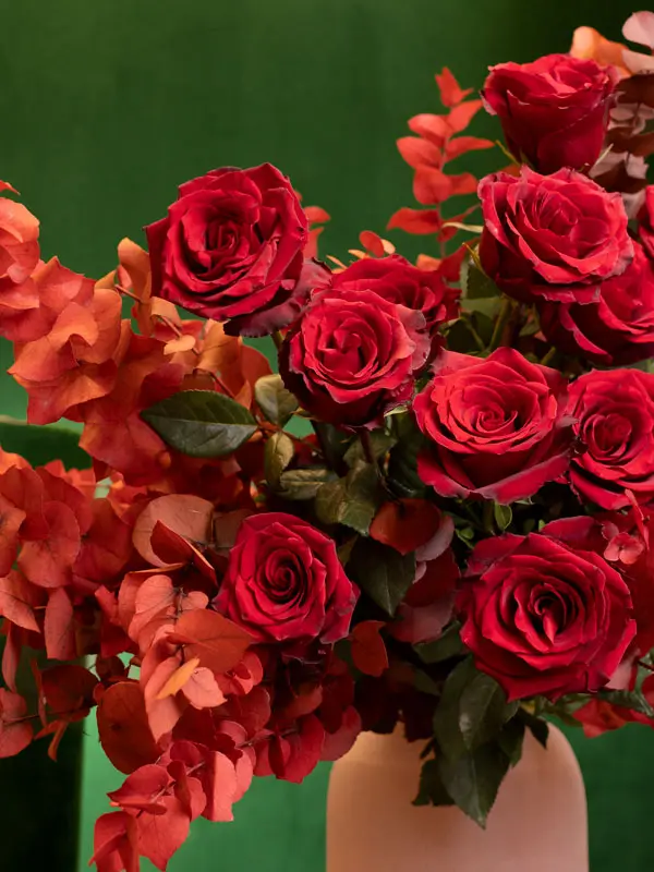 bliss-162.webp