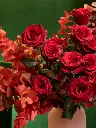 bliss-162.webp