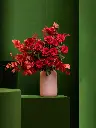bliss-165.webp