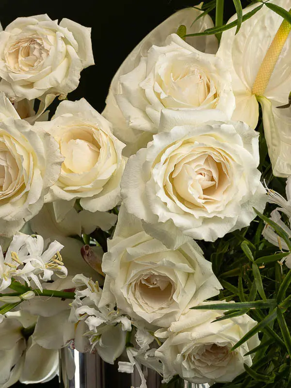 Bliss-2814.webp