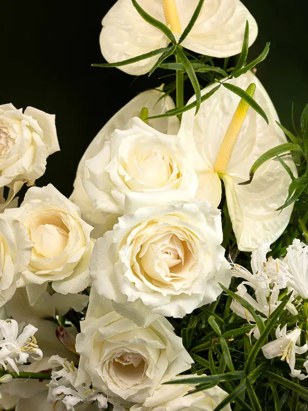 Bliss-2810.webp