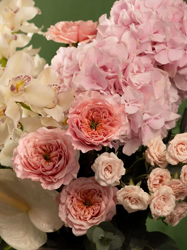 Bliss-1419.webp
