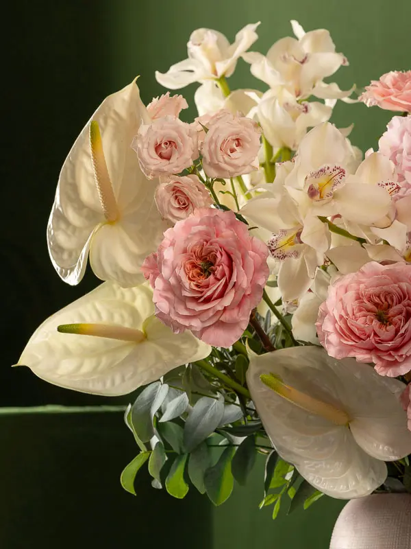 Bliss-1416.webp