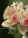 Bliss-1416.webp