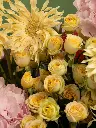 Bliss-1522.webp