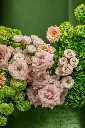 bliss-2297 copy.webp