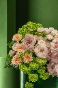 bliss-2296 copy.webp