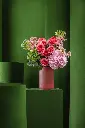 bliss-3324 copy.webp