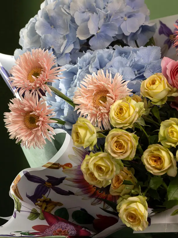Bliss-1090.webp