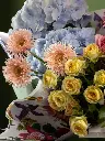 Bliss-1090.webp