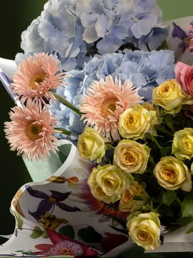 Bliss-1090.webp