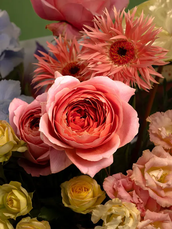Bliss-1099.webp
