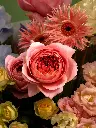 Bliss-1099.webp