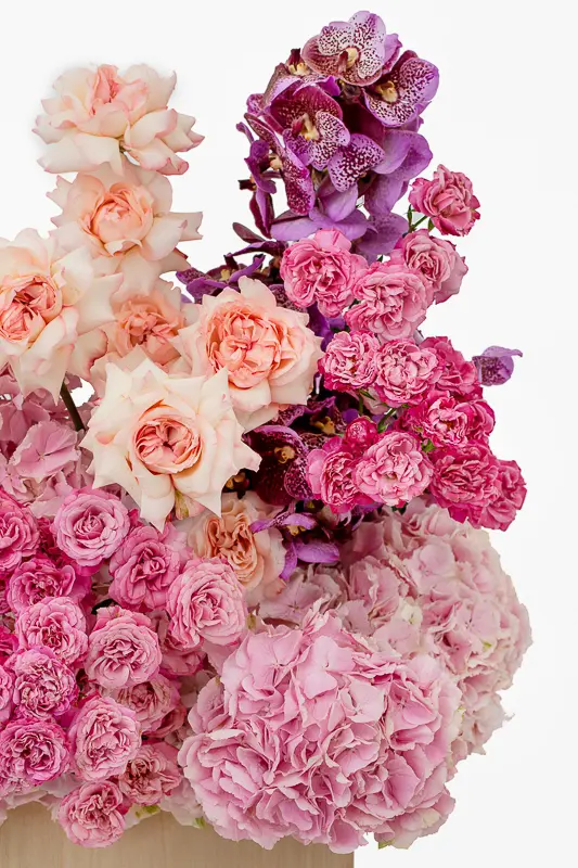 2023-06-12_BLISS_02-3.webp