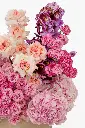 2023-06-12_BLISS_02-3.webp