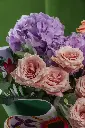 bliss-1051 copy.webp