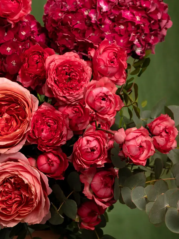 Bliss-1444.webp