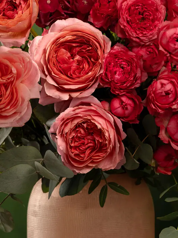 Bliss-1447.webp
